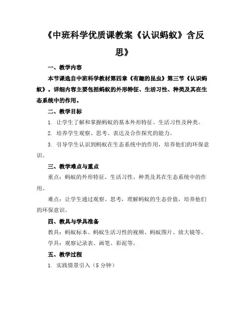 《中班科学优质课教案《认识蚂蚁》含反思》