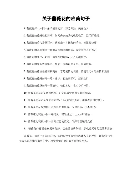 关于蔷薇花的唯美句子