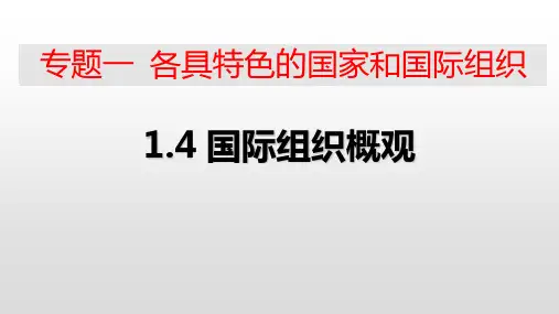 高中政治人教版选修三专题1.4 国际组织概观 课件(共19张PPT)