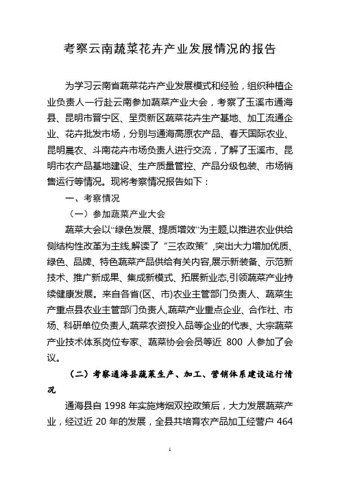 考察云南蔬菜花卉产业发展情况的报告