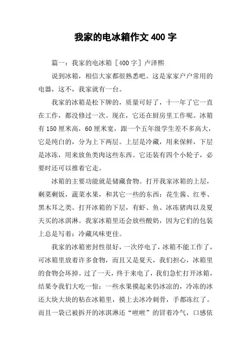我家的电冰箱作文400字