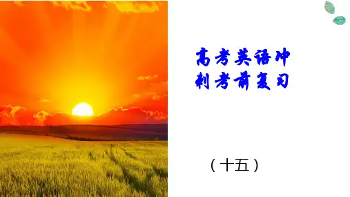 人教版高考英语冲刺复习十五课件