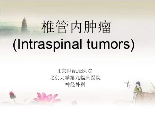 脊髓解剖 PPT