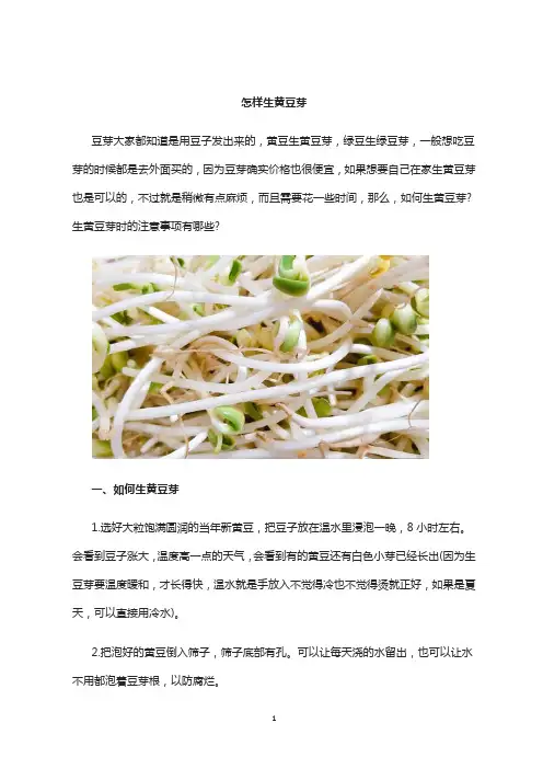 怎样生黄豆芽