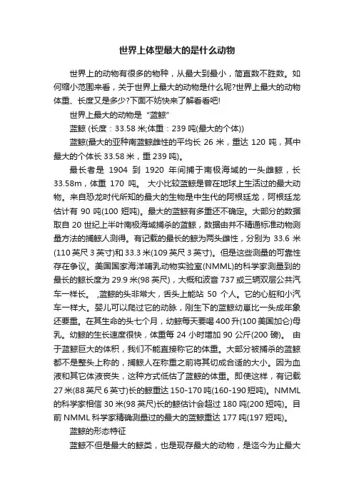 世界上体型最大的是什么动物