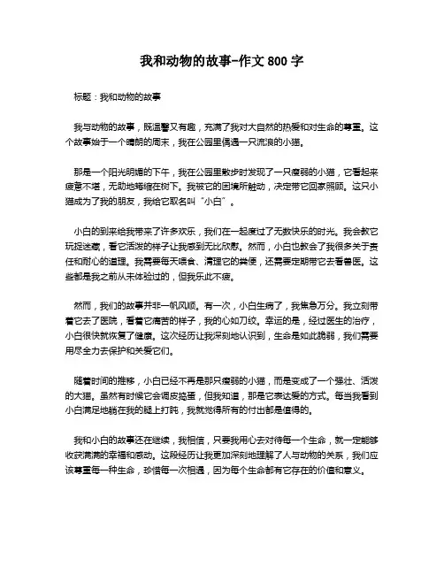 我和动物的故事-作文800字