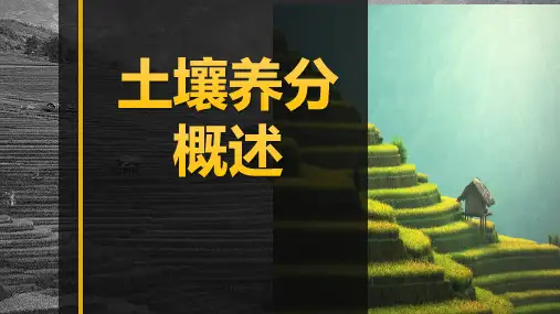 《土壤肥料》课件——4.1.1土壤养分概述