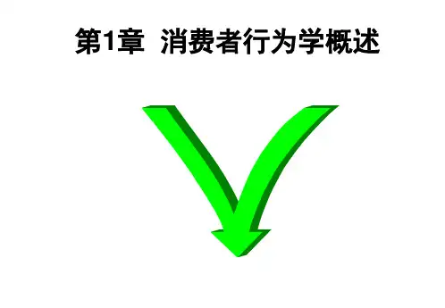 消费者行为学