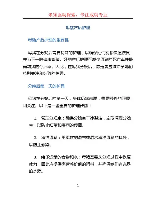 母猪产后护理
