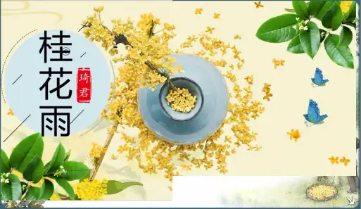 桂花雨 (课件)(共35张PPT)