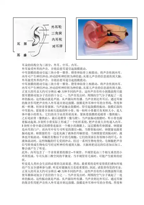 耳朵的结构分为三部分
