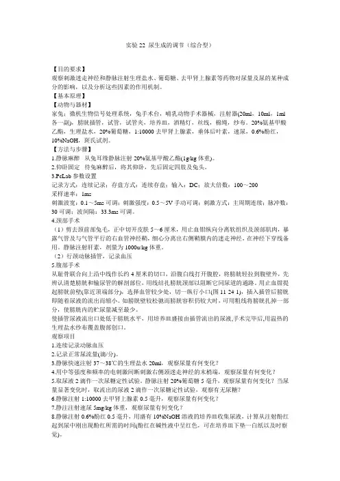 尿生成的调节