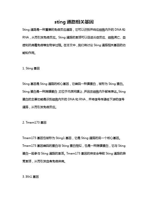 sting通路相关基因