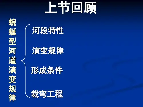 博导第7讲分汊型河道的演变规律