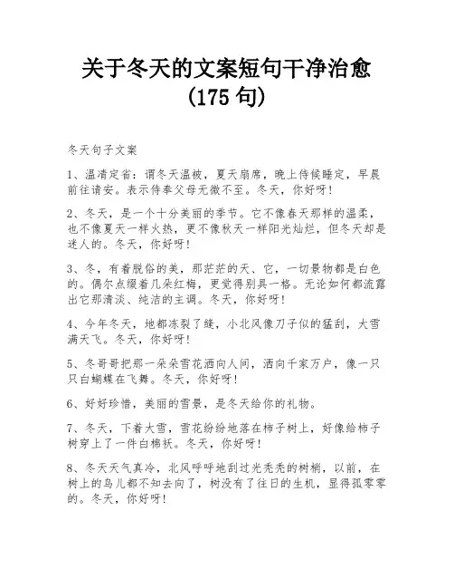 关于冬天的文案短句干净治愈(175句)