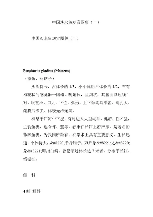 中国淡水鱼观赏图集(一)