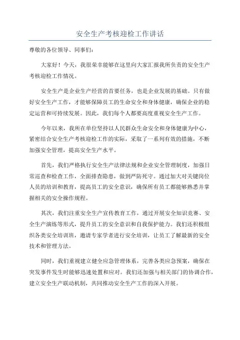 安全生产考核迎检工作讲话