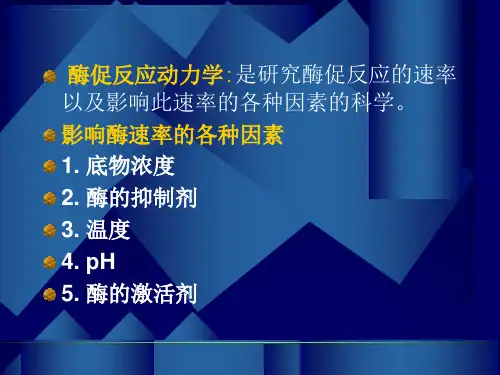 酶促反应动力学ppt课件.ppt