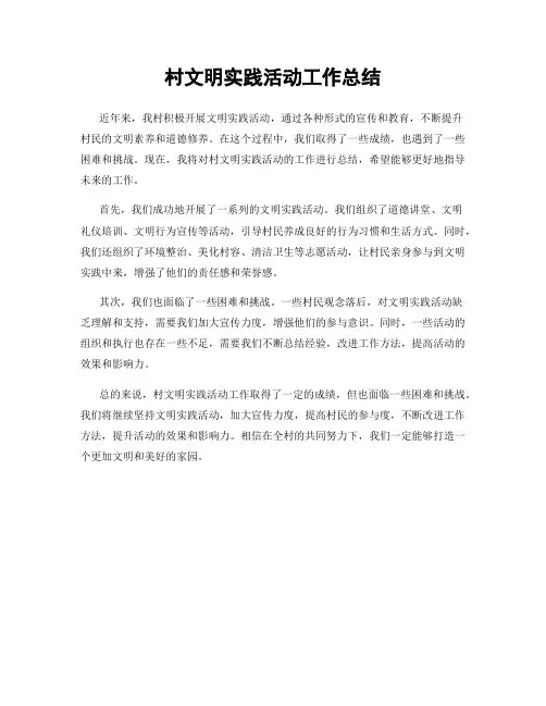 村文明实践活动工作总结