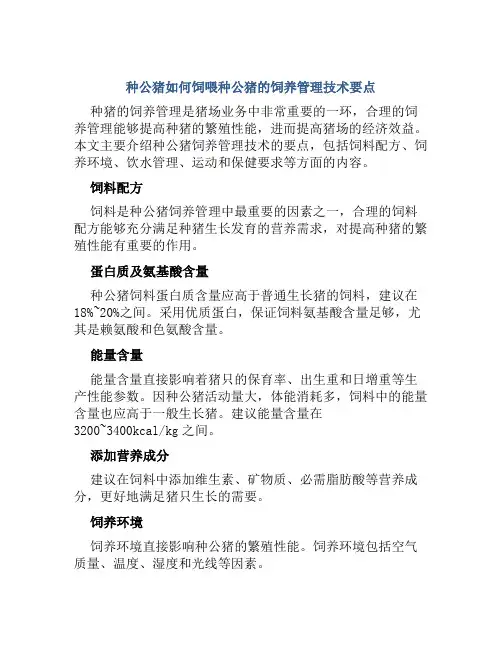 种公猪如何饲喂种公猪的饲养管理技术要点