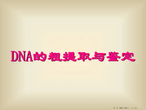 DNA的粗提取与鉴定(优秀课件)