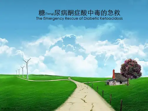糖尿病酮症酸中毒的诊断及治疗公关教学ppt