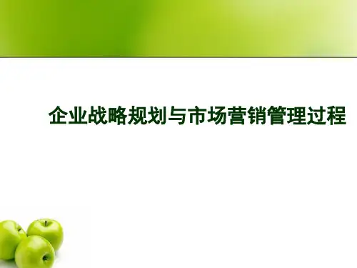 企业战略规划与市场营销管理过程 PPT-