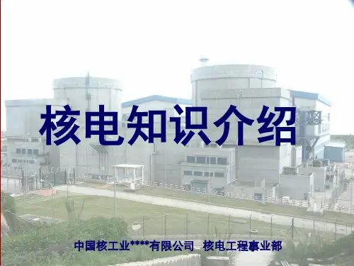 核电知识介绍
