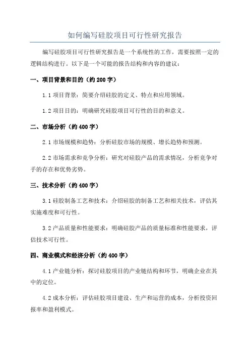 如何编写硅胶项目可行性研究报告