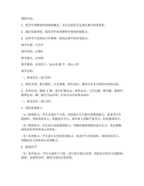 足球球性球感教案大学生