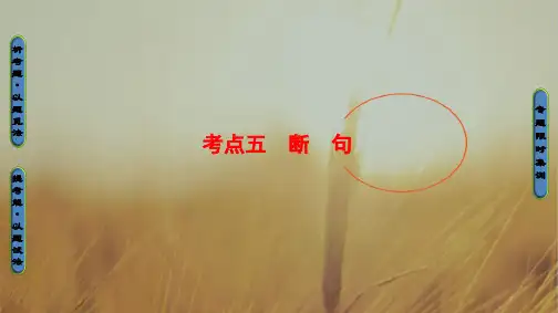 2018高考语文浙江专版二轮复习与策略课件 高考第3大题 一 考点5 断 句