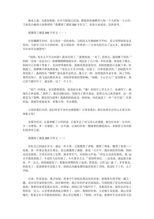 我懂得了感恩500字作文