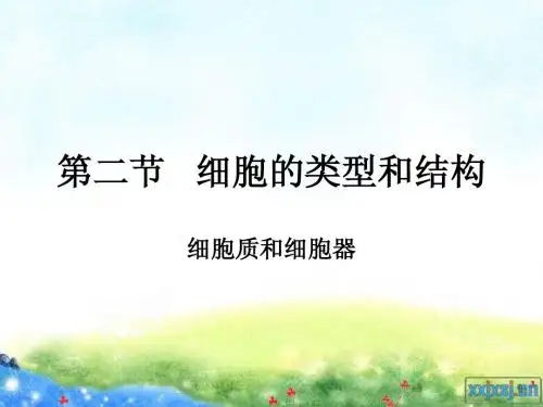 第二节   细胞的类型和结构——细胞质和细胞器