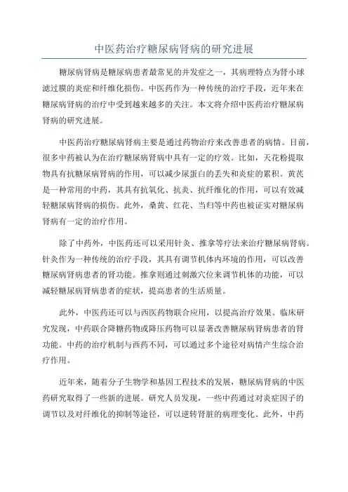 中医药治疗糖尿病肾病的研究进展
