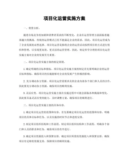 项目化运营实施方案