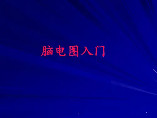 脑电图基础知识幻灯片PPT课件