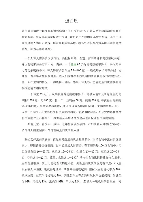 蛋白质的作用