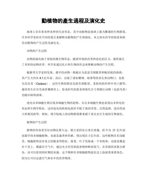 动植物的产生过程及演化史
