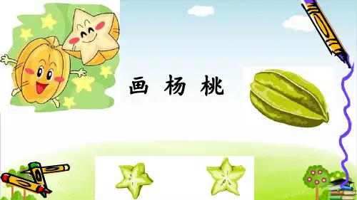 《画杨桃》ppt课件完美版