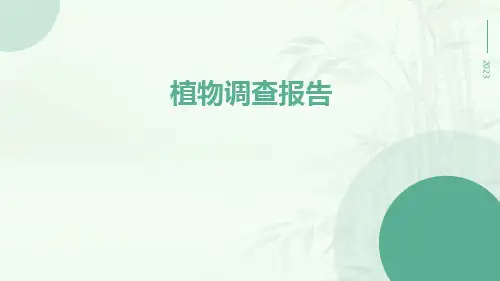 植物调查报告