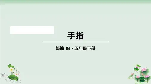 《手指》PPT课件完美版1