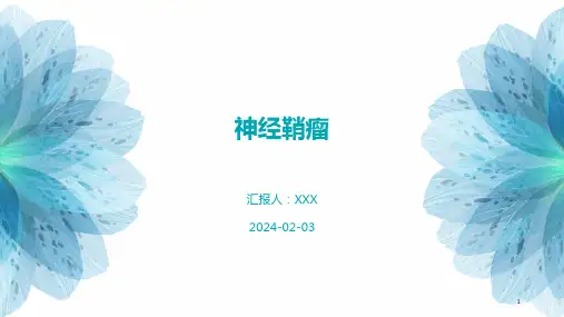 神经鞘瘤演示课件
