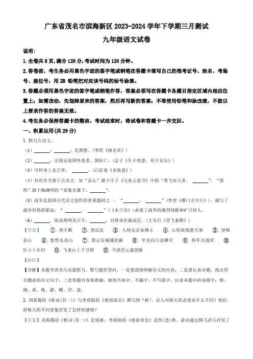 广东省茂名市滨海新区2023-2024学年九年级3月月考语文试题(解析版)
