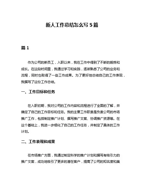新人工作总结怎么写5篇