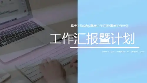 商业项目计划书通用ppt