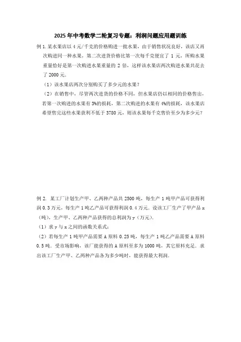2025年中考数学二轮复习专题：利润问题应用题训练