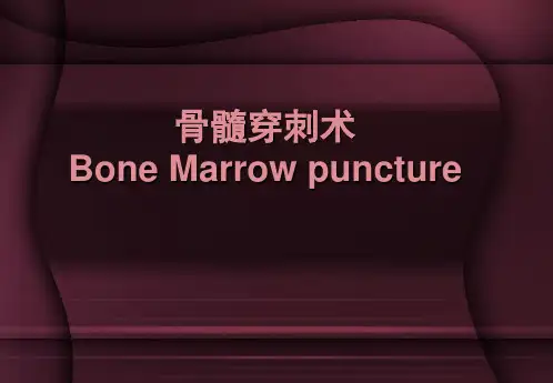 骨髓穿刺术ppt医学幻灯片