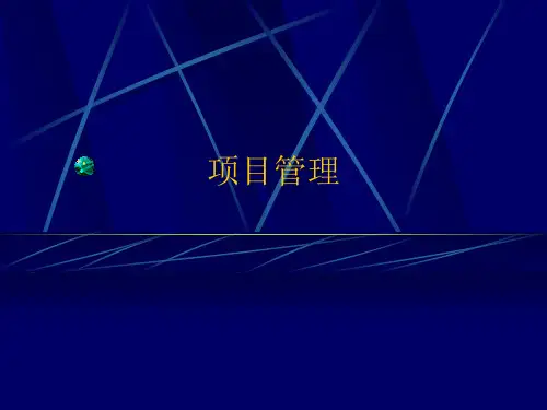 什么是成功的项目管理