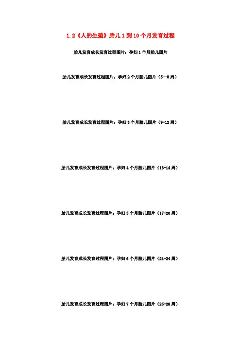 七年级生物下册 1.2《人的生殖》胎儿1到10个月发育过程教案 (新版)新人教版