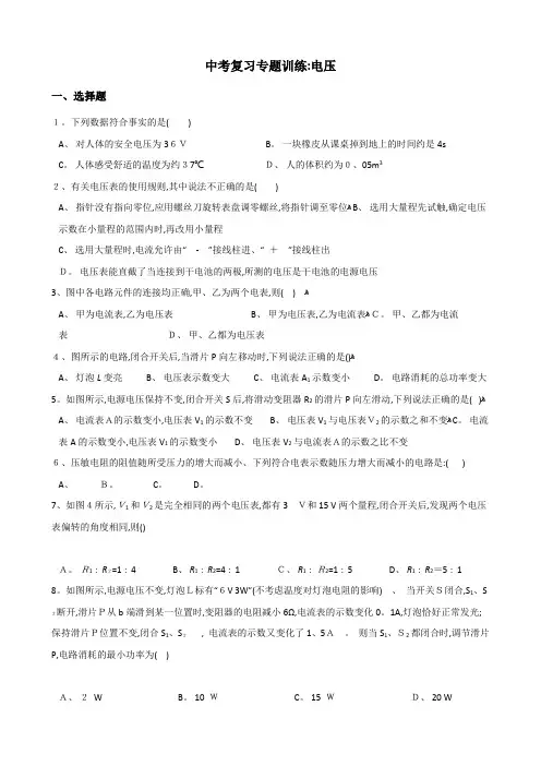 中考物理复习专题训练：电压(含解析)